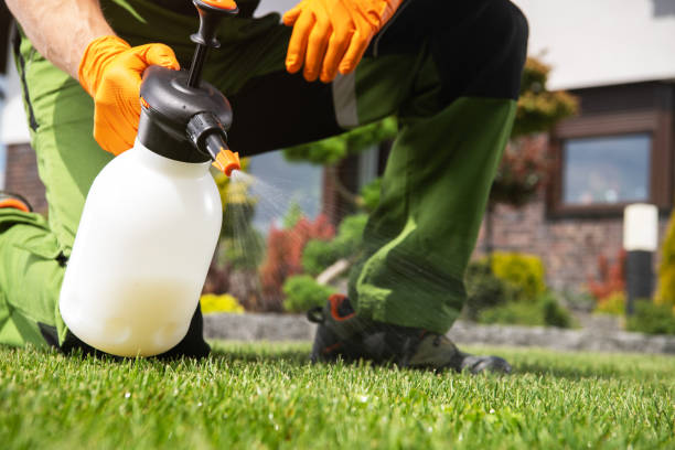 Best Pest Removal Services  in Creighton, NE