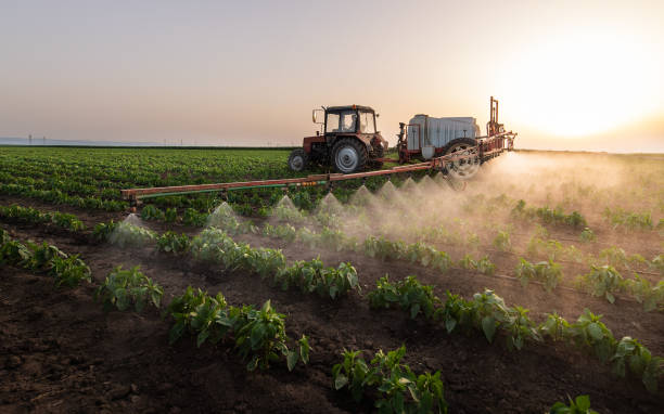 Best Commercial Pest Control Services  in Creighton, NE