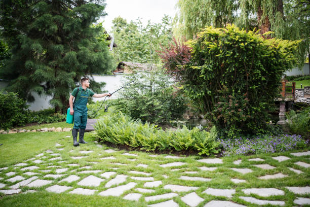 Best Affordable Exterminators  in Creighton, NE