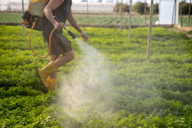 Best Affordable Pest Control Services  in Creighton, NE
