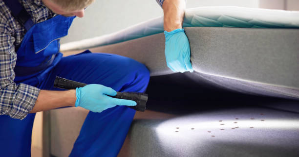 Best Local Pest Control Services  in Creighton, NE