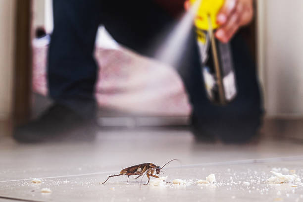 Professional Pest Control in Creighton, NE