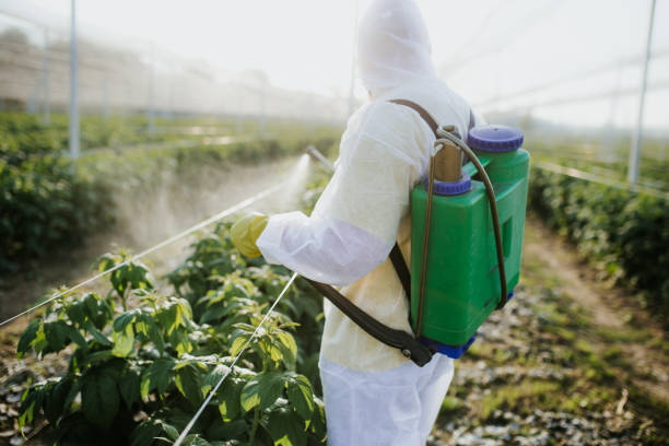 Best Affordable Pest Control Services  in Creighton, NE